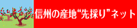 信州の産地”先採り”ネット
