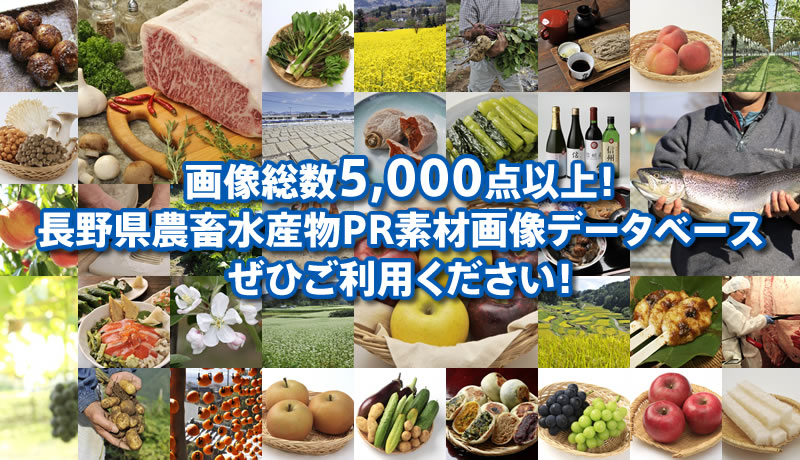 画像総数5,000点以上！長野県農畜水産物PR素材画像データベース　ぜひご利用ください！
