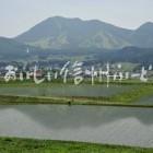 木島平村大塚沖の田園風景（田植え後）