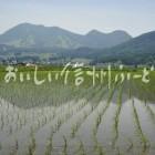 木島平村大塚沖の田園風景（田植え後）