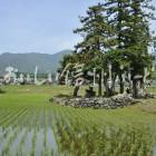 木島平村大塚沖の田園風景（田植え後）