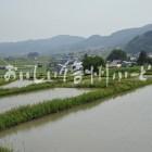 飯山市豊田他の田園風景（田植え後）