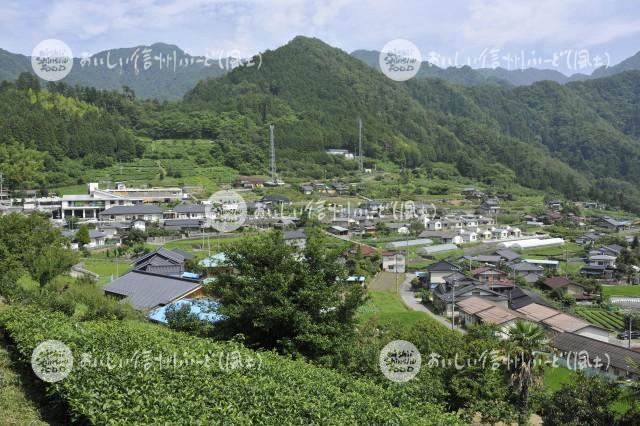 天龍村の農村風景