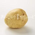 白土馬鈴薯（スタジオ単体）