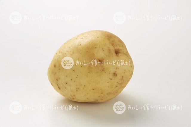 白土馬鈴薯（スタジオ単体）