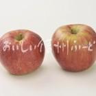りんご【シナノレッド】（スタジオ複数）