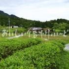 南木曽町田立の管理された山間地の水田と農村集落