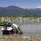 安曇野市・拾ヶ堰公園付近の田園風景（田植え）