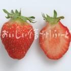 御牧いちご（スタジオ断面）