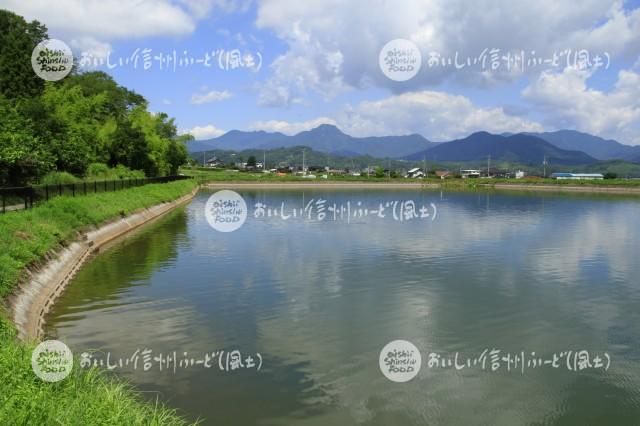 上田市塩田平のため池と水田