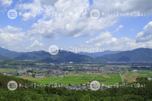 上田市塩田平のため池と水田