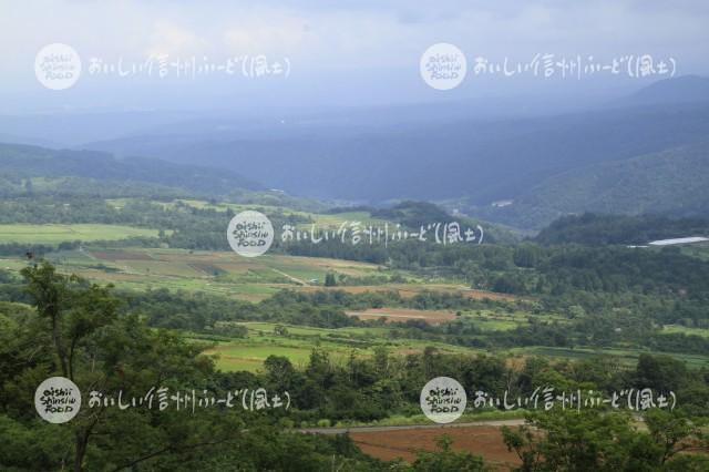 飯山国営農地（風景）