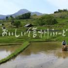 千曲市・姨捨の棚田（田植え）