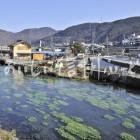 安曇野市の養鱒場