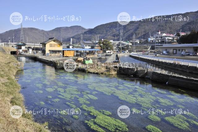 安曇野市の養鱒場