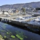 安曇野市の養鱒場