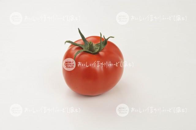 加工用トマト【リコボール】（スタジオ単体）