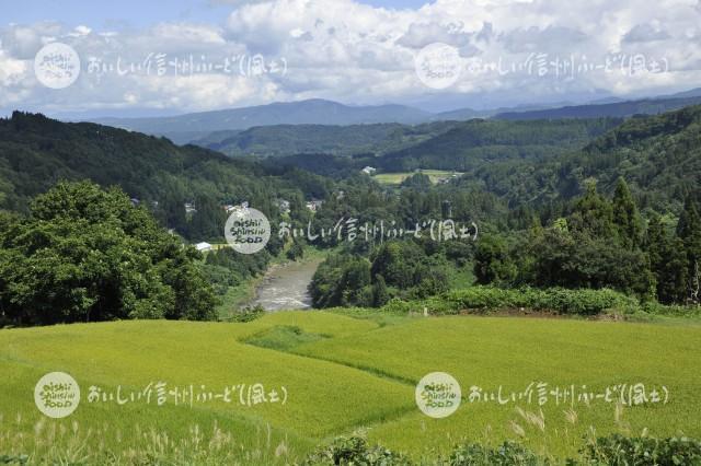 栄村の農村風景