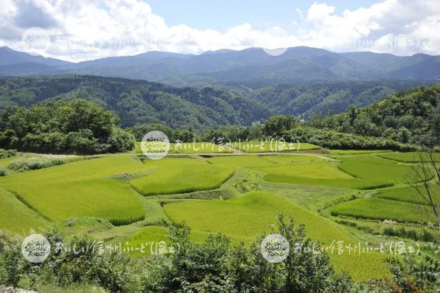 栄村の農村風景