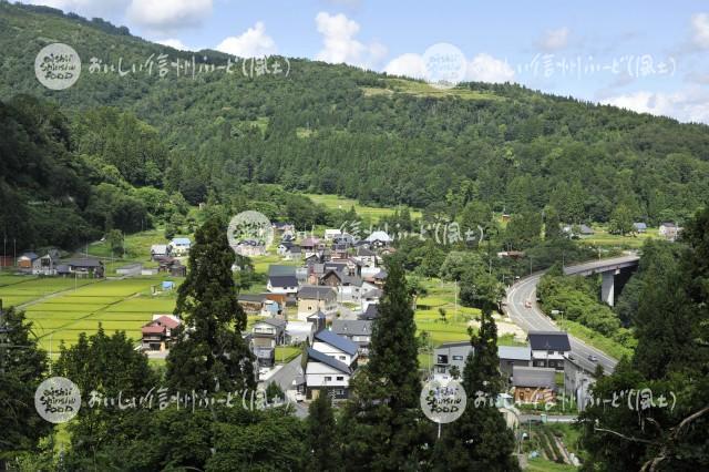 栄村の農村風景