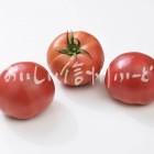 生食トマト（スタジオ複数）