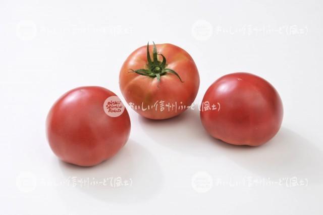 生食トマト（スタジオ複数）