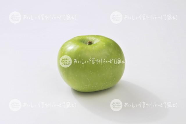 りんご【ブラムリー】（スタジオ単体）