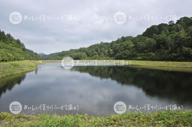 山ノ内町夜間瀬の畑かん（剣沢ダム）