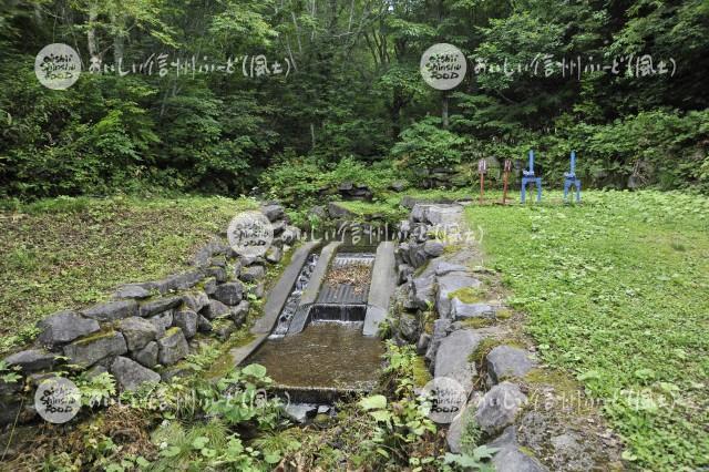 山ノ内町夜間瀬の畑かん（表我鬼沢）