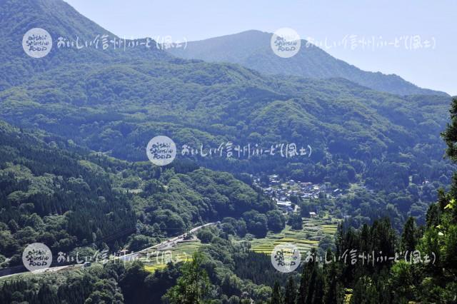 栄村の農村風景