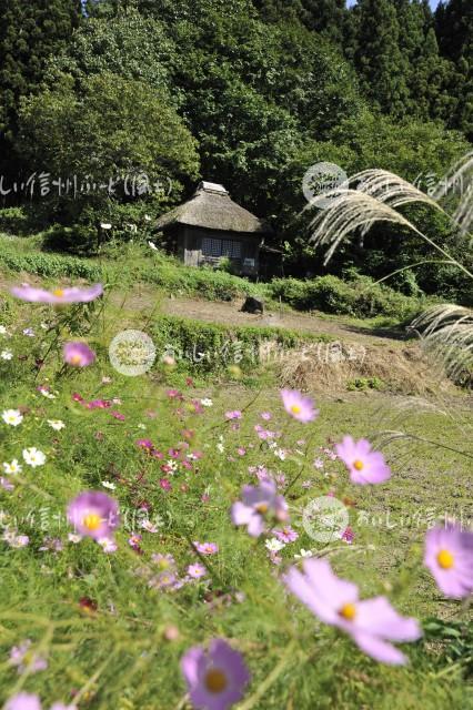 飯山市・阿弥陀堂