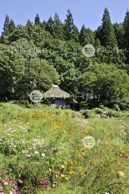 飯山市・阿弥陀堂