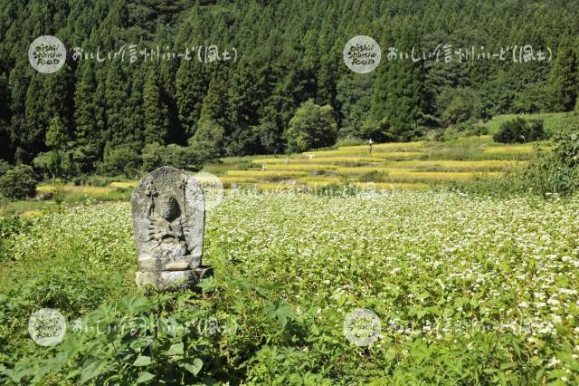 飯山市・阿弥陀堂