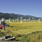 飯山市豊田他の田園風景（稲刈り）