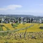 中野市豊田地区の田園風景（稲刈り）