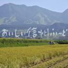 木島平村大塚沖の田園風景（稲刈り）