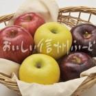 りんご【シナノスイート、秋映、シナノゴールド】（スタジオ入れ物）