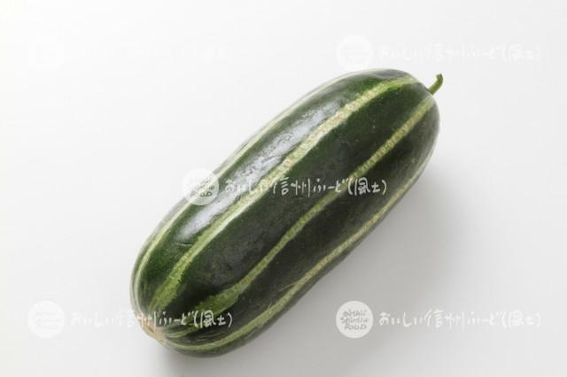 本しま瓜（スタジオ単体）