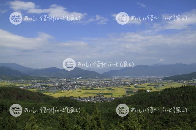 上田市塩田平の田園風景