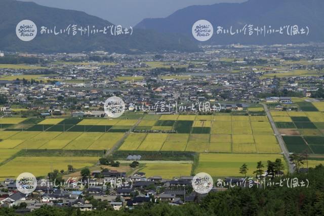 上田市塩田平の田園風景