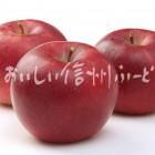 りんご【シナノプッチ】（スタジオ複数）