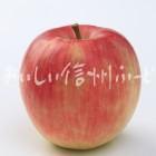 りんご【シナノドルチェ】（スタジオ単体）