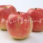 りんご【シナノドルチェ】（スタジオ複数）