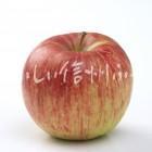 りんご【つがる】（スタジオ単体）