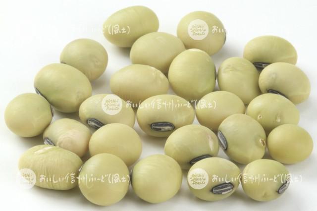 大豆・西山大豆【ヒトリムスメ】