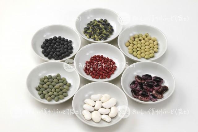 色豆７種（スタジオ集合・花豆、黒豆、小豆、信濃くらかけ、ヒトリムスメ、ひたし豆）
