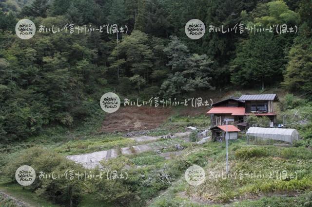 阿智村・清内路の出作小屋