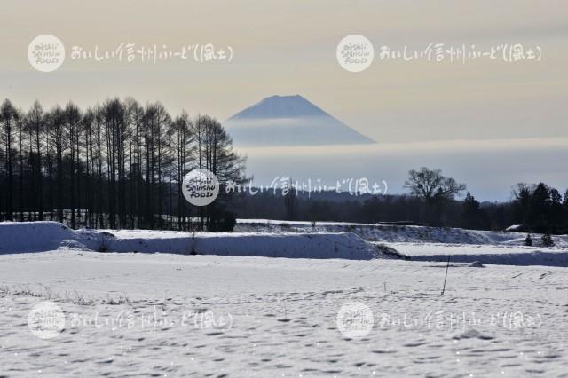 富士見町からの富士山
