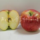 りんご【シナノリップ】（スタジオ断面と全体）