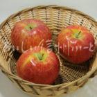 りんご【シナノリップ】（スタジオ入れ物）